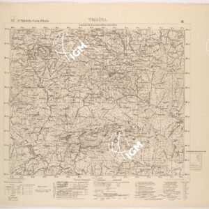 261 III (TROINA) Anno: 1895