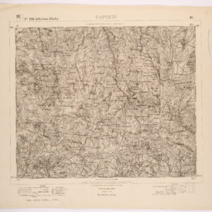 261 IV (CAPIZZI) Anno: 1865