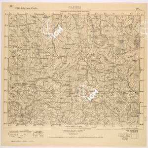 261 IV (CAPIZZI) Anno: 1895