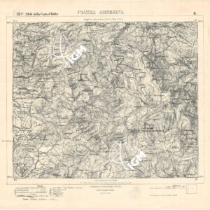 268 II (PIAZZA ARMERINA) Anno: 1867