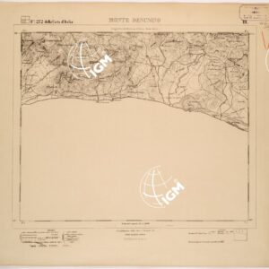 272 III (MONTE DESUSINO) Anno: 1866