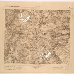 273 II (VIZZINI) Anno: 1868