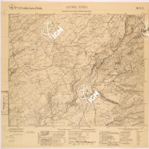 273 III-NE (LICODIA EUBEA) Anno: 1929