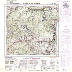 014A III-NE (FUSINE IN VALROMANA) Anno: 1926