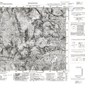 017 I-NO (BODENGO) Anno: 1931