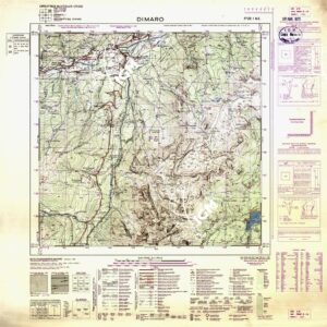 020 I-NE (DIMARO) Anno: 1916