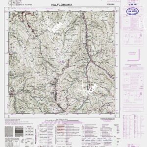 021 I-SE (VALFLORIANA) Anno: 1919
