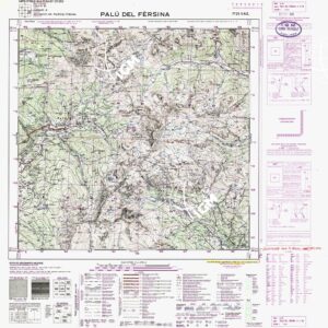 021 II-NE (PALU') Anno: 1919