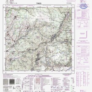 021 IV-NE (TRES) Anno: 1919