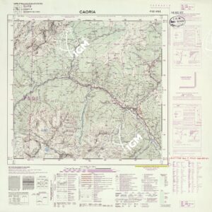 022 IV-SE (CAORIA) Anno: 1919