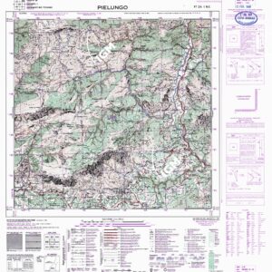 024 I-NE (PIELUNGO) Anno: 1910