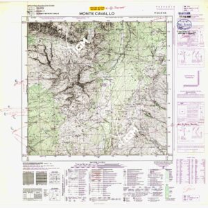 024 III-NO (M. CAVALLO) Anno: 1948