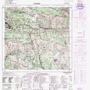 025 I-NE (BERGOGNA) Anno: 1927