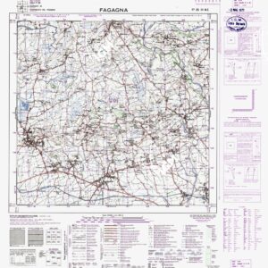 025 III-NE (FAGAGNA) Anno: 1891