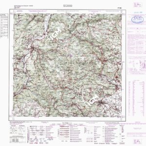 036 (SCHIO (curve)) Anno: 1959