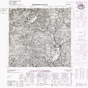 043 IV-NO (ANDORNO MICCA) Anno: 1967