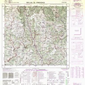 049 IV-NE (SELVA DI PROGNO) Anno: 1964