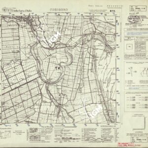 077 III-NE (CODIGORO) Anno: 1935