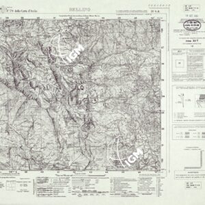 079 IV-SO (BELLINO) Anno: 1929