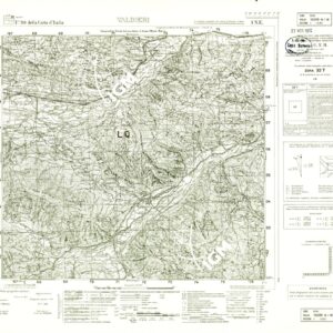 090 I-NE (VALDIERI) Anno: 1929