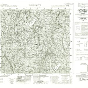 091 I-NE (PAMPARATO) Anno: 1933