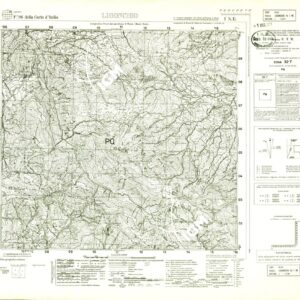 096 I-NE (LIGONCHIO) Anno: 1928-29