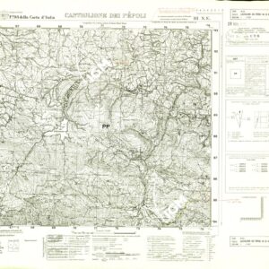 098 III-NE (CASTIGLIONE DEI PEPOLI) Anno: 1932