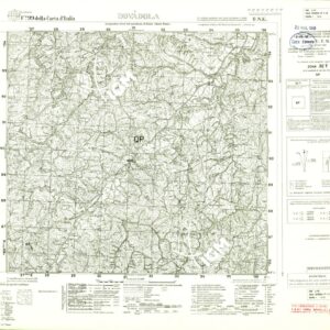 099 II-NE (DOVADOLA) Anno: 1928