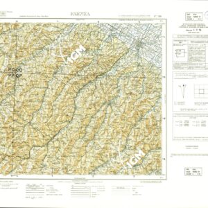 099 (FAENZA (sfumo)) Anno: 1951