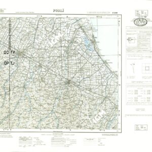 100 (FORLI' (curve)) Anno: 1951