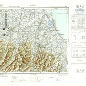 100 (FORLI' (sfumo)) Anno: 1951
