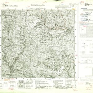 102 I-NE (BORGOMARO) Anno: 1939