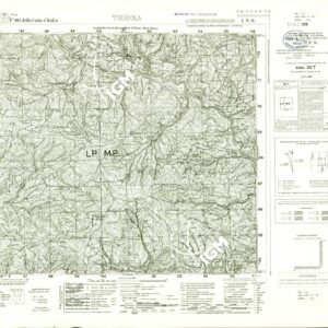 102 I-NO (TRIORA) Anno: 1939