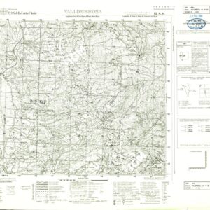 107 III-SO (VALLOMBROSA) Anno: 1963
