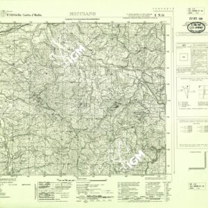 119 I-NO (MICCIANO) Anno: 1942