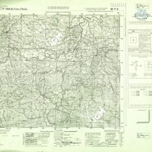 120 III-NE (CHIUSDINO) Anno: 1942