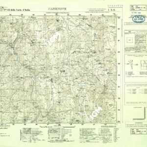 131 I-NE (CASENOVE) Anno: 1955