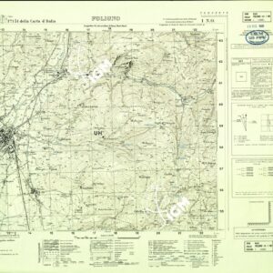 131 I-NO (FOLIGNO) Anno: 1955