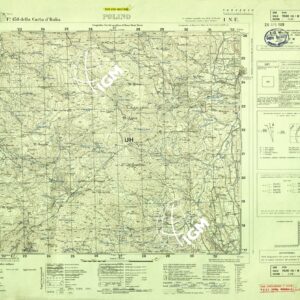 138 I-NE (POLINO) Anno: 1951