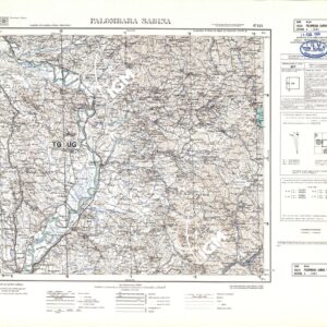 144 (PALOMBARA SABINA (curve)) Anno: 1953