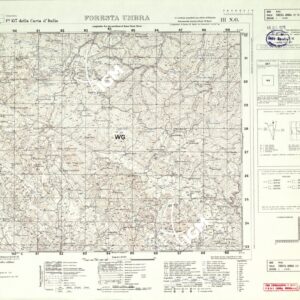157 III-NO (FORESTA UMBRA) Anno: 1957