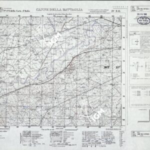 176 IV-NE (CANNE DELLA BATTAGLIA) Anno: 1957