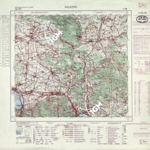 185 (SALERNO (curve)) Anno: 1955