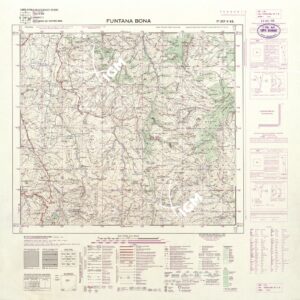 207 II-NE (FUNTANA BONA) Anno: 1960