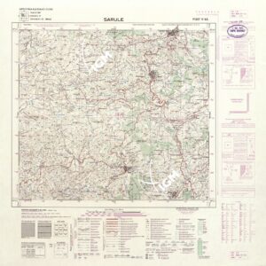 207 IV-SE (SARULE) Anno: 1960