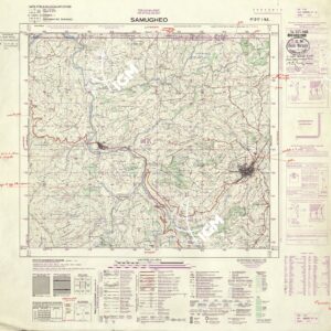 217 I-NE (SAMUGHEO) Anno: 1965