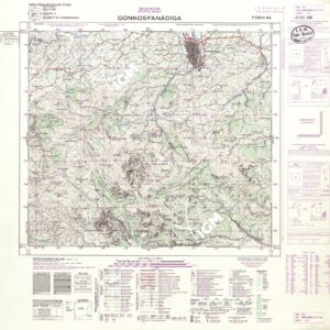 225 III-NE (GONNOSFANADIGA) Anno: 1965