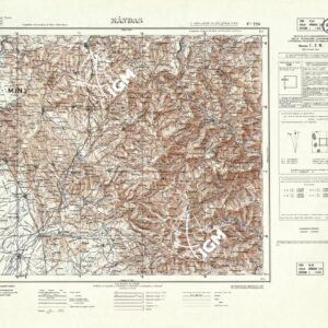 226 (MANDAS (sfumo)) Anno: 1931