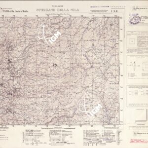 236 I-NE (SPEZZANO DELLA SILA) Anno: 1957
