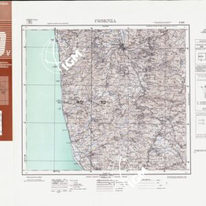 236 (COSENZA (curve)) Anno: 1956